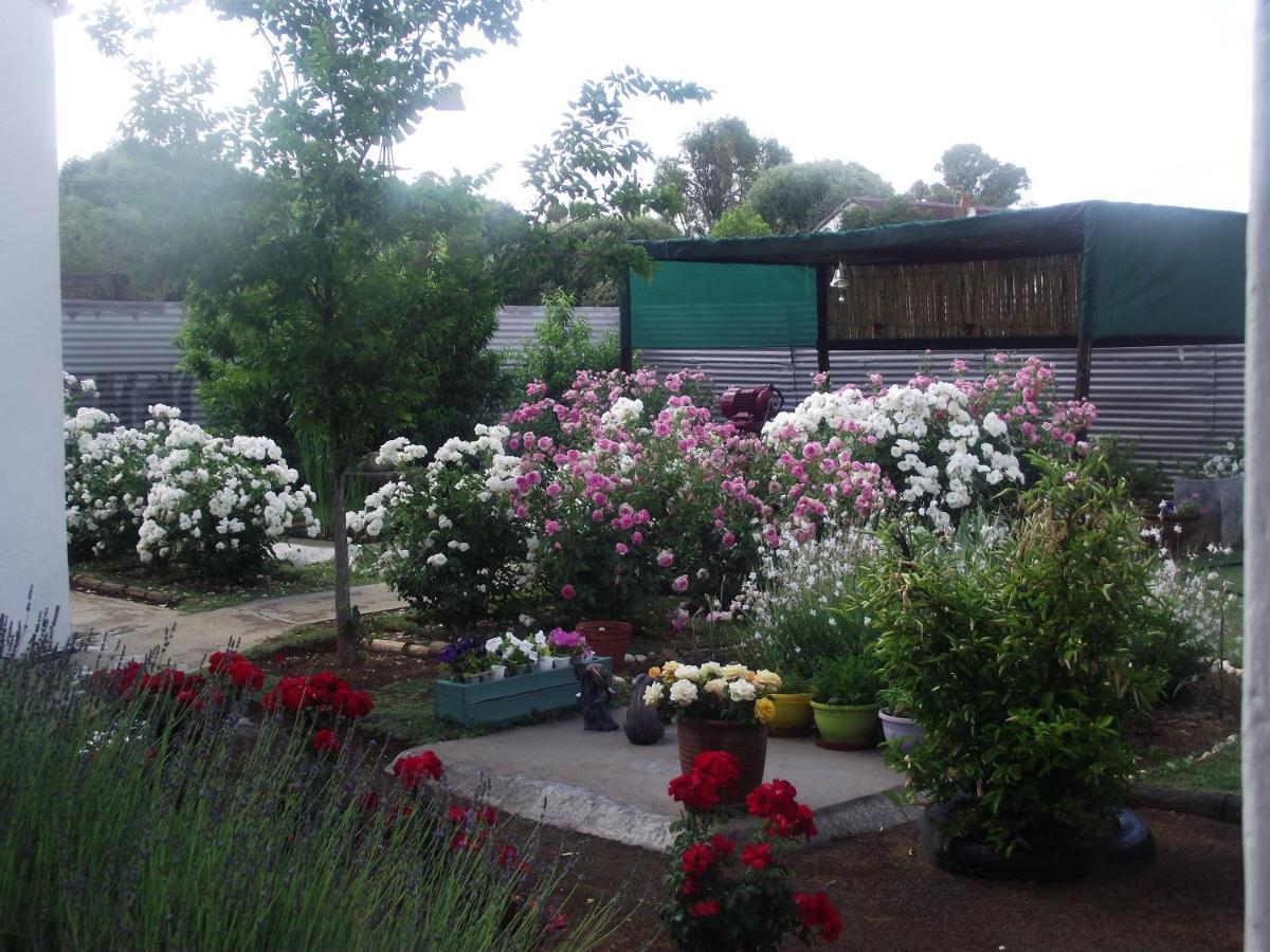 Lavender Rose Bed & Breakfast Bethulie Luaran gambar