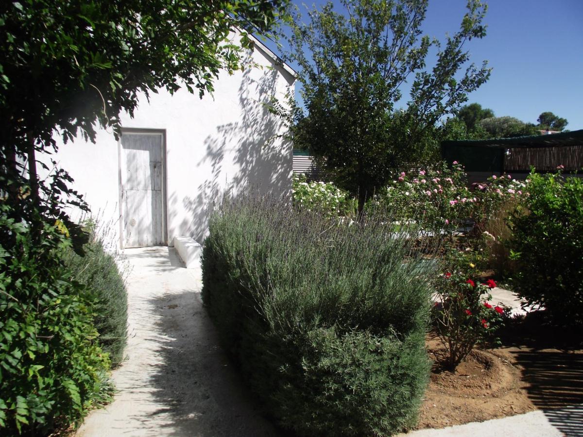 Lavender Rose Bed & Breakfast Bethulie Luaran gambar